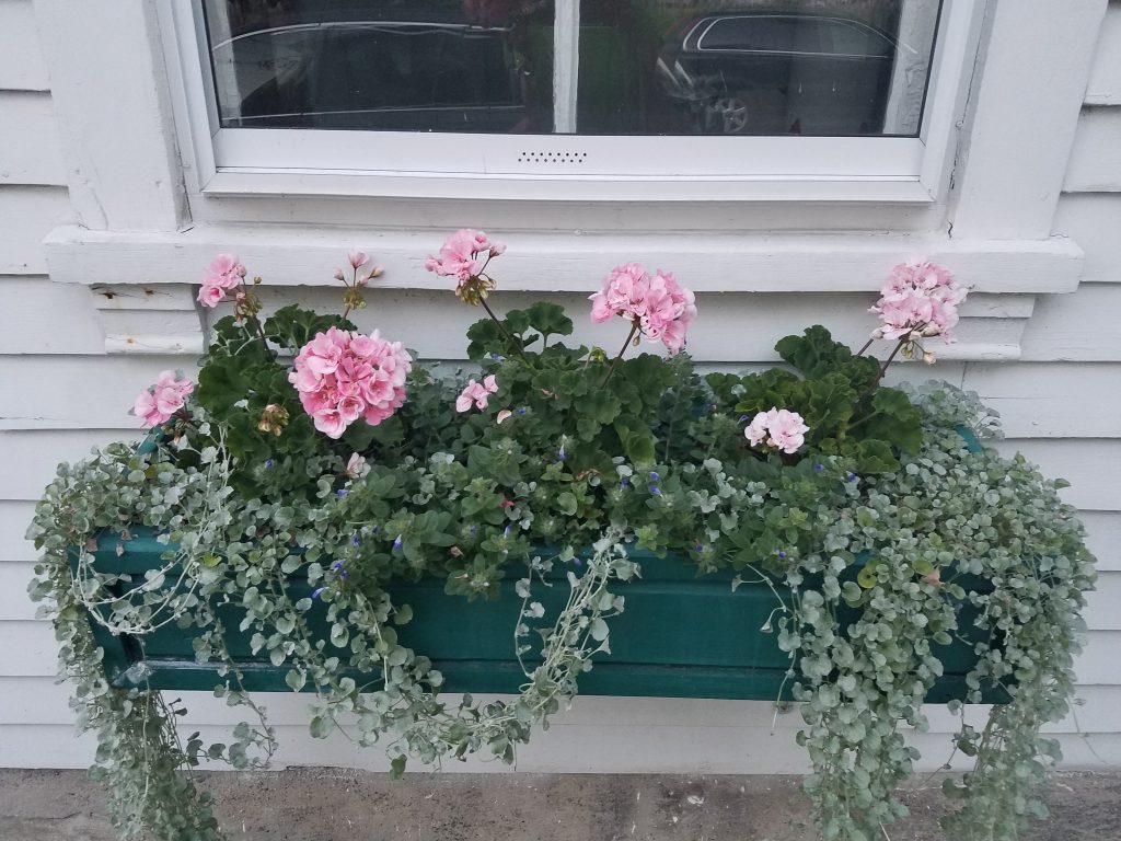 Window Boxes at the Little Compton Town Hall